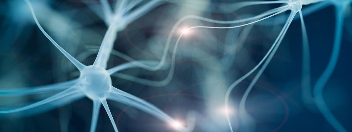 neural-network-feat