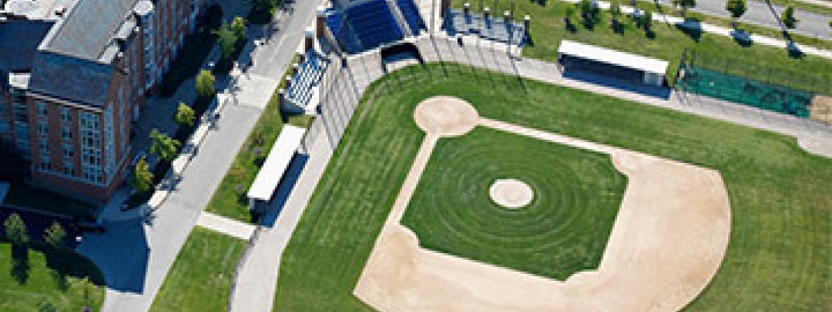 nobbys-ballpark