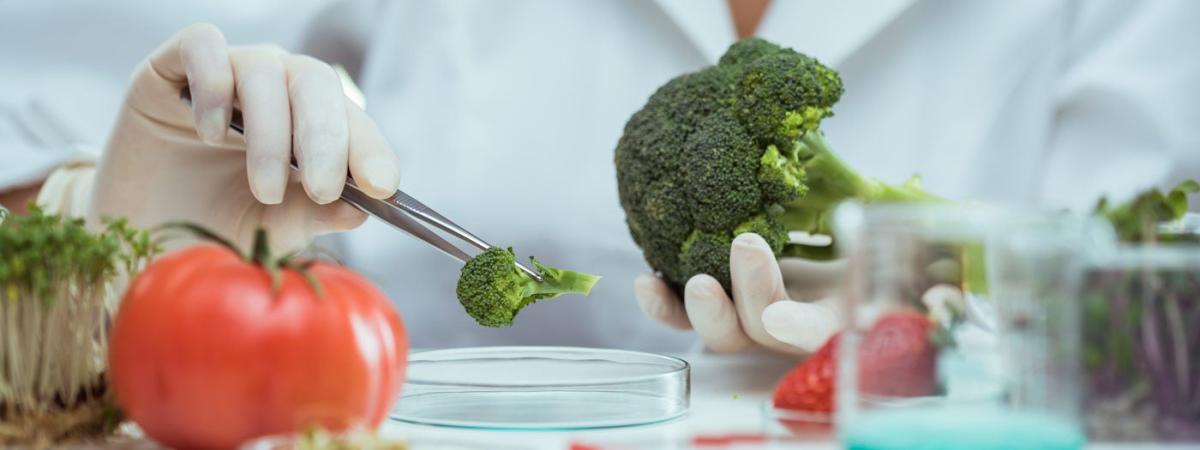 nutrition-feat