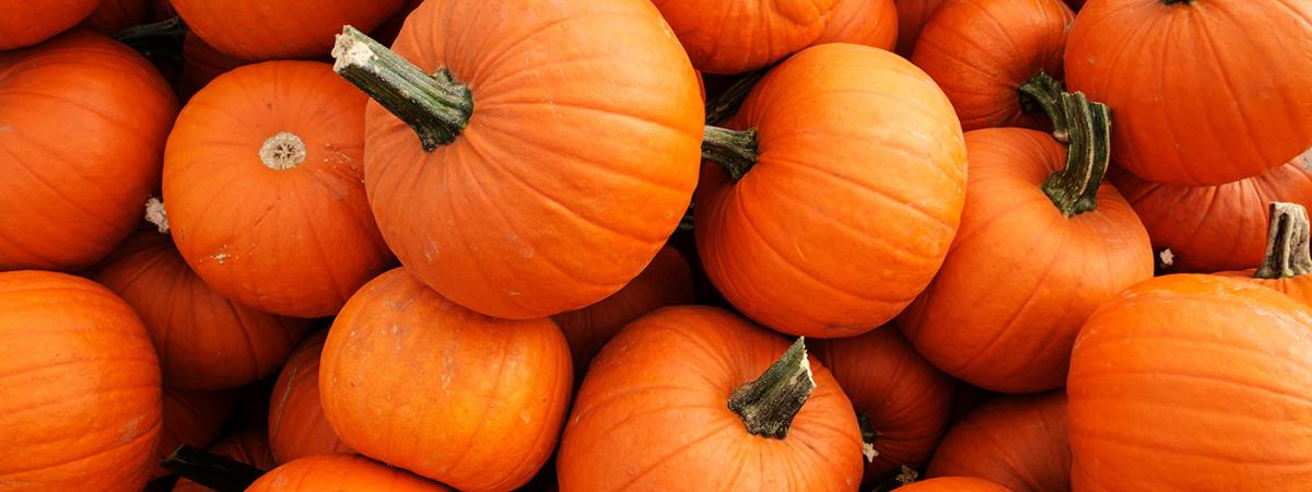 pumpkins-feat