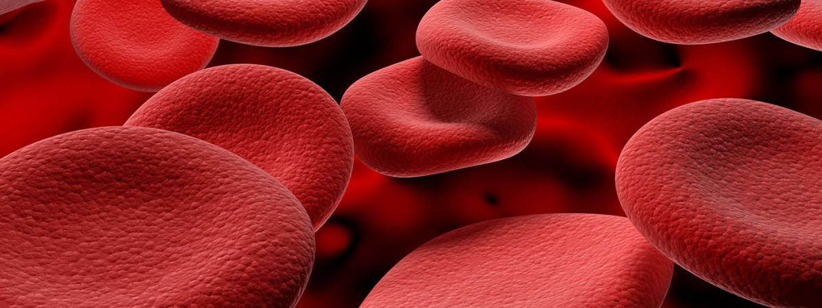 red-blood-cells-feat