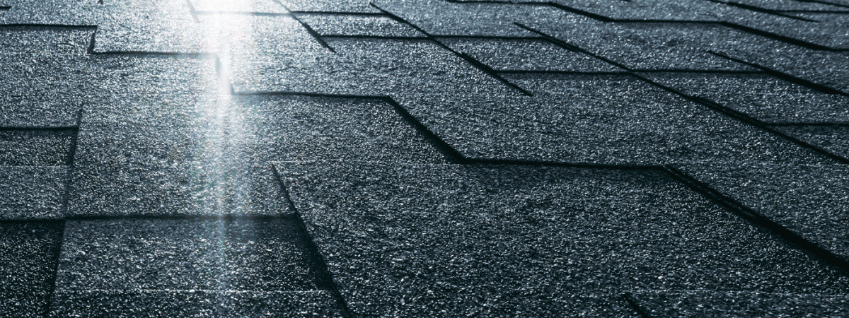 roofforwp