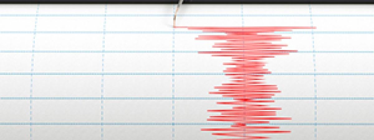 seismic