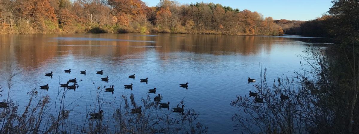 shaker-lakes-feat