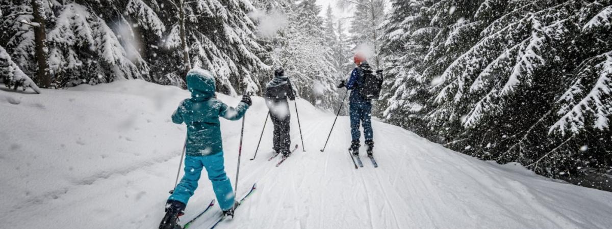 ski