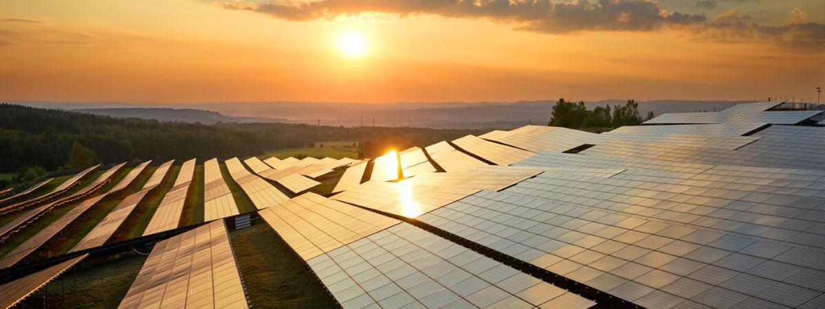 solarpanels