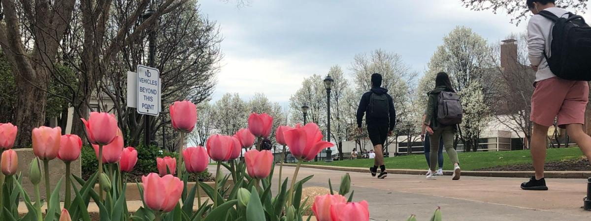 spring-campus-flowers-feat