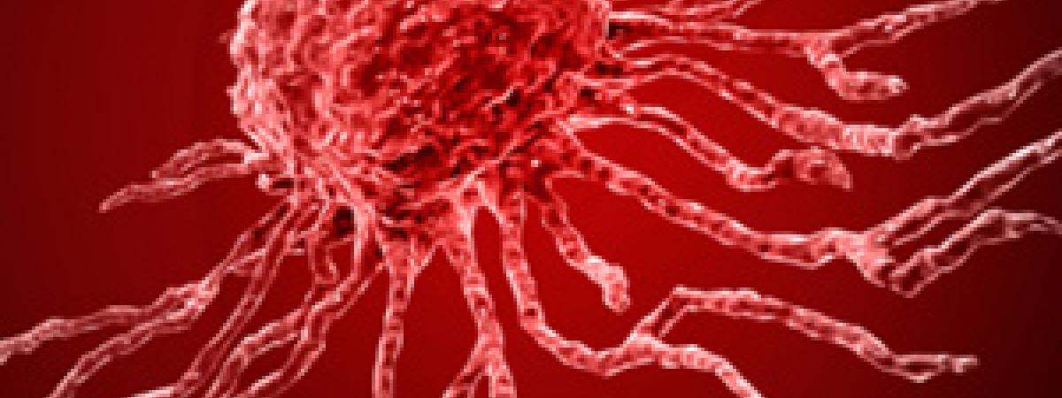 stem-cell-feature