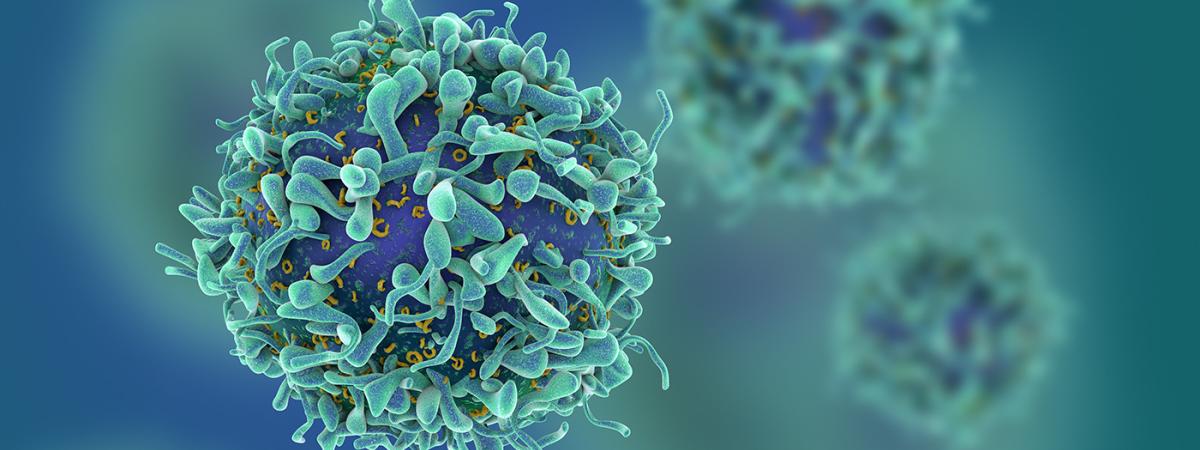 t-cell-feat