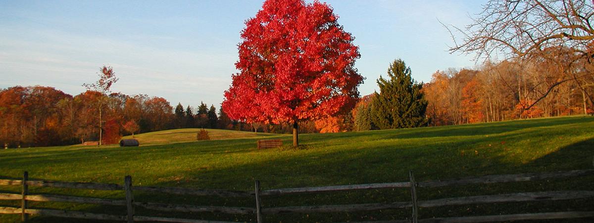 university-farm-fall