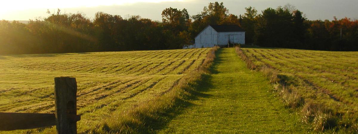 university-farm