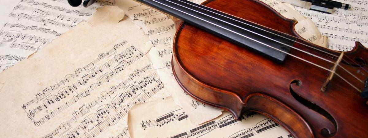 violin