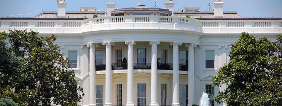 white-house