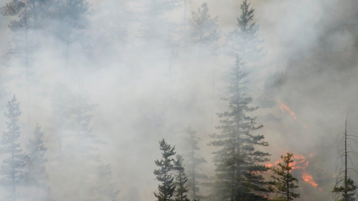 wildfire