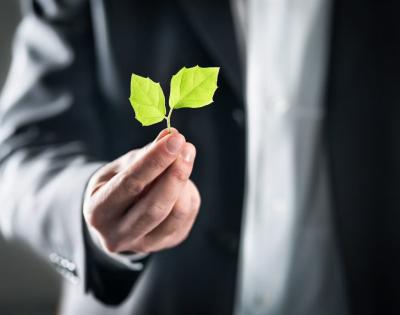 Man holding leaves