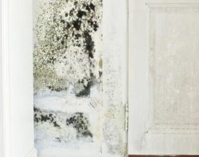 Mold