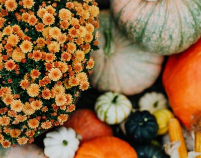 Close up of pumpkins and other fall harvest items 