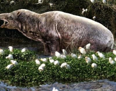 A reconstruction of an astrapothere by Velizar Simeonovski. Photography by Darin Croft, from the book Horned Armadillos and Rafting Monkeys.