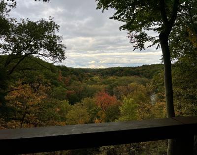 Fall leaves show at Bedford Reservation