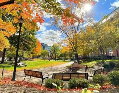 Photo taken outside of Thwing Center of benches on a sunny fall day