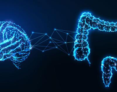 Photo illustration of a brain and intestines with interconnected nature of the gut and brain