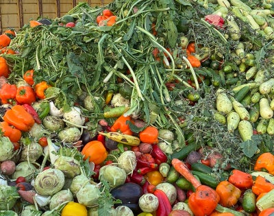 Photo of spoiled produce filling a dumpster