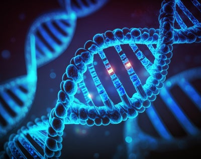 DNA strand