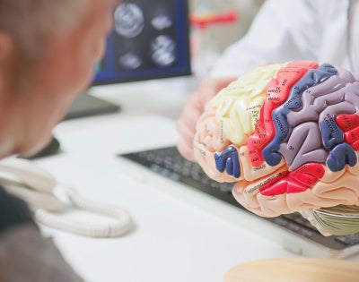 A doctor in a white coat shows a colorful anatomical brain model to an older man in an office setting, conveying a tone of education and care.