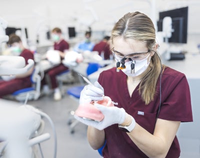 Student working with dental manikin in simulation lab