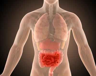 3d-illustration-human-body-crohns-intestines-infection