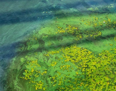 760x600-wetlands