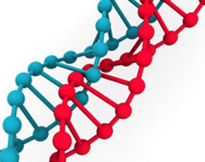 DNA-feat