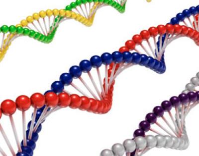 DNA-helix