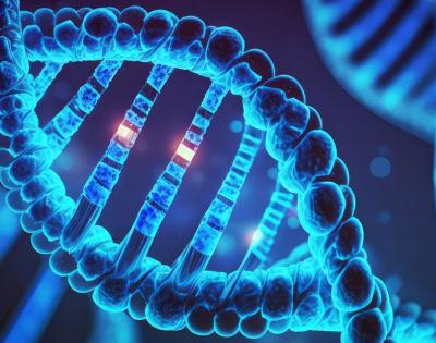 DNA-inverted-vertically