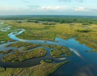 Florida-Everglades