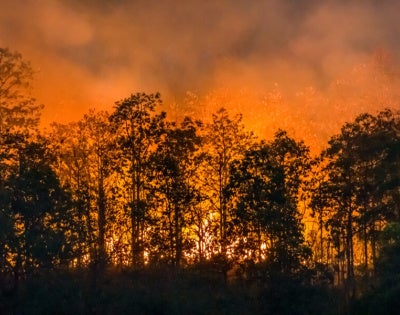 GettyImages-1221010912-2-e1600450084507