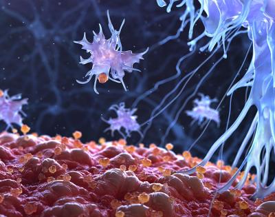 Getty_ImmuneCells
