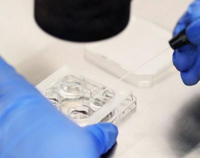 IVF-clinic