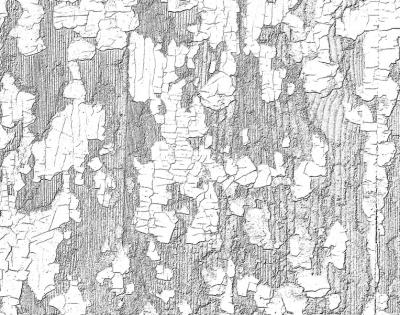 Peeling-Paint