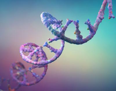 RNA_strand