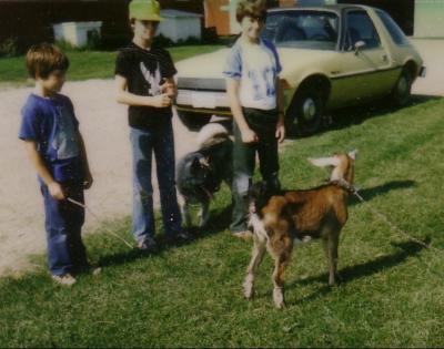 Sparky-2_cropped_2