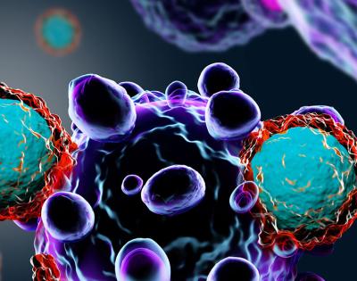 T-cells