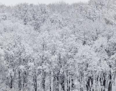 Winter-blues