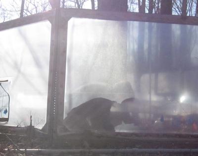 ant-farm