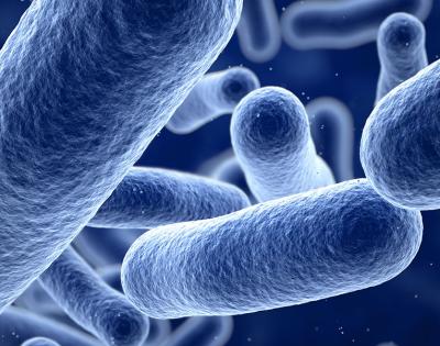 bacteria-feat