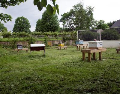 beekeeping-feat