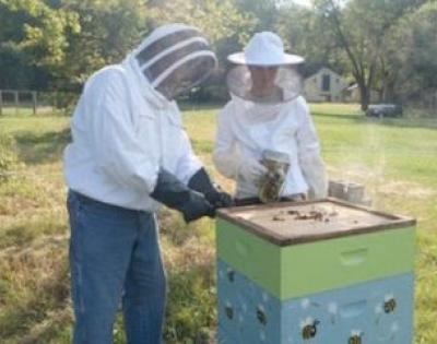 beekeeping