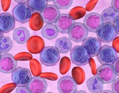 blood-cells-feat
