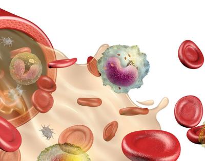 blood_components