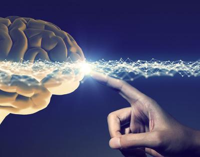 brainMapillo